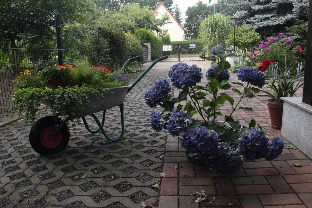 Pension-eula Guest house
