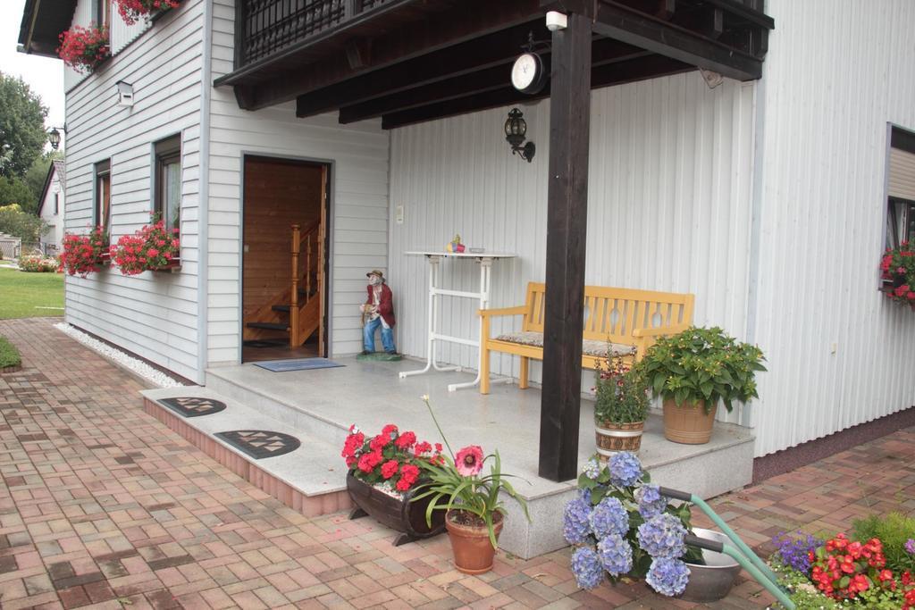 Guest house Pension-eula Borna