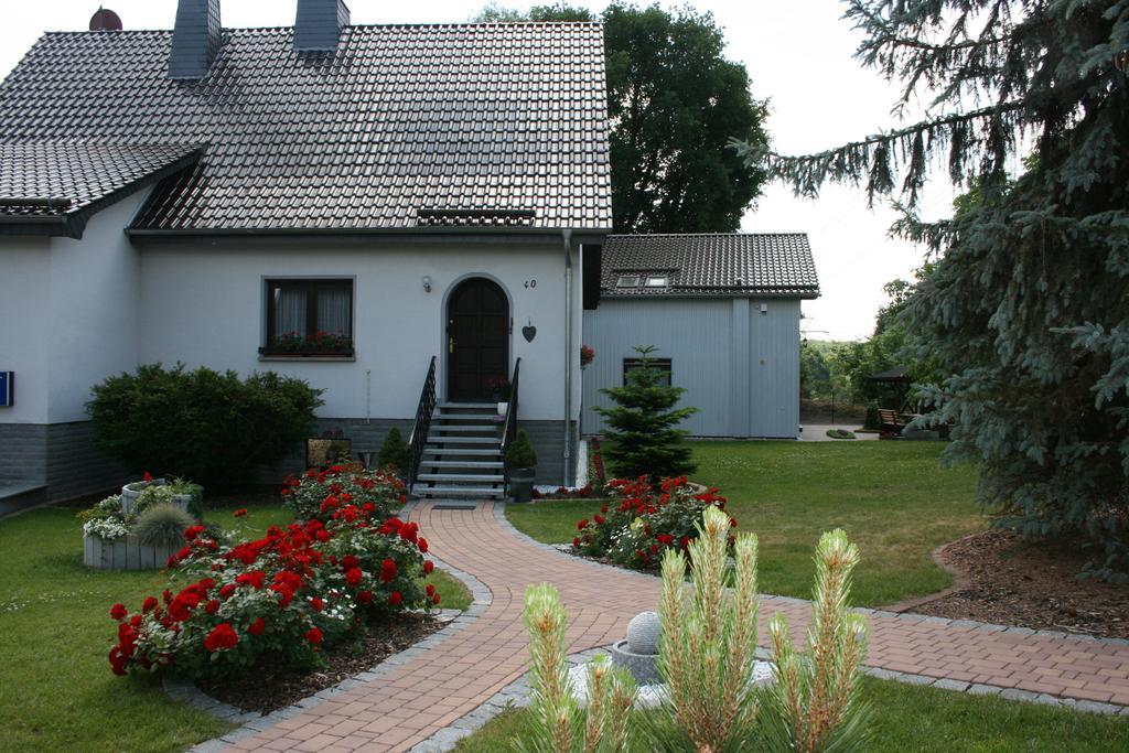 Pension-eula Guest house Borna